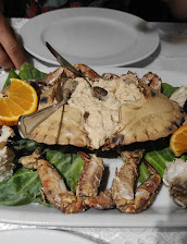 Sapateira Muito Fresca